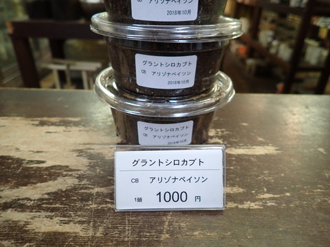グラシロ