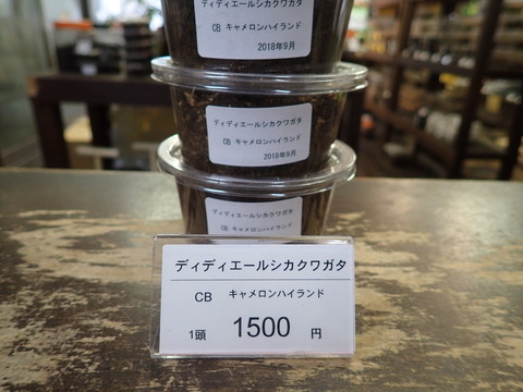 ディディエール