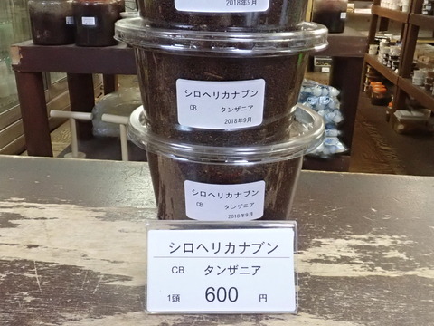 シロヘリ (3)