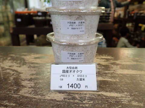 久留米