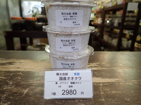 青龍