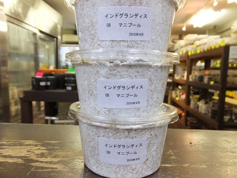 インドグラン
