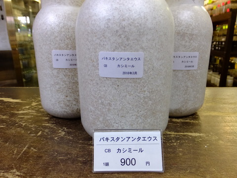パキスタンアンテ