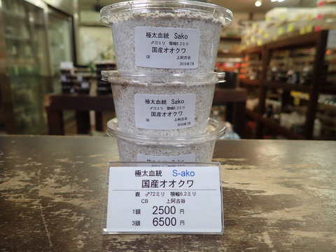 Sako72 6.2