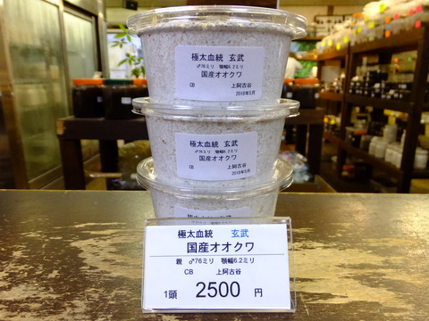 玄武