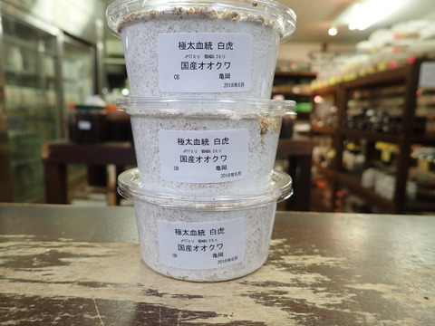白虎