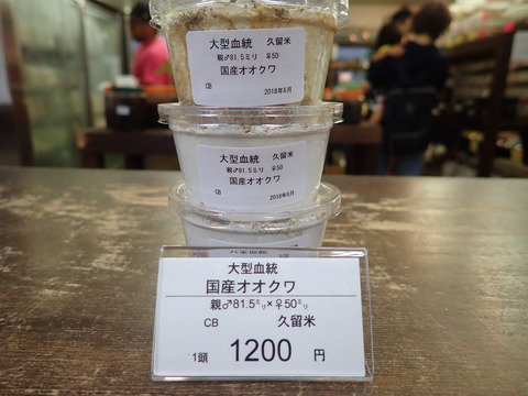 P7070320
