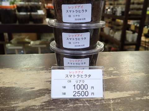 PB080096