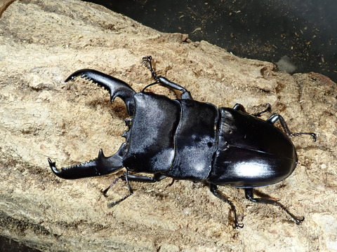 PB030006