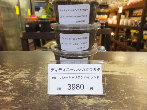 ディディエール