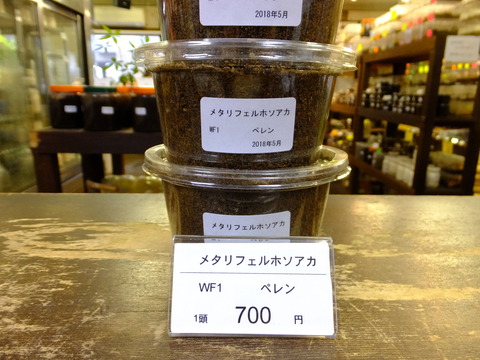 メタリ