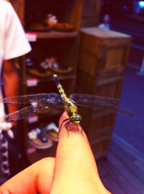 2012-08-29 23:22:34 写真1