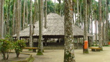 �䥷���ڸ��������礭�ʥ���ʥ༰����