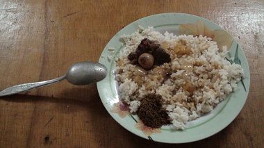 ぶっかけご飯　肉入り