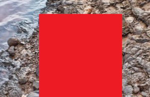 【超！閲覧注意】川でヤバいものが発見される（画像あり）