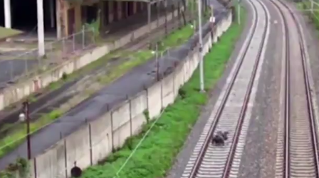 電車の線路に横たわる十代の少年たちの命懸けのゲームが怖い【動画】