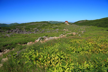 IMG_0576