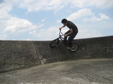 yuya