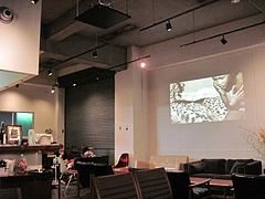 OnEdrop_cafe_03
