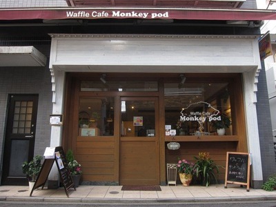 MonkeyPod_01