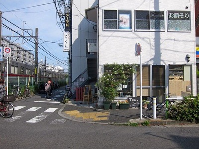 crann_01