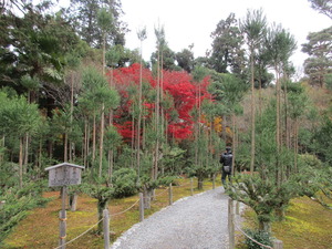龍安寺