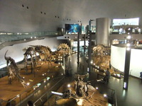 福井県立恐竜博物館