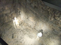 福井県立恐竜博物館