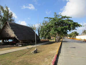 Boat Basin