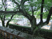 福井城址