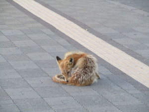 斜里郡斜里町ウトロ西