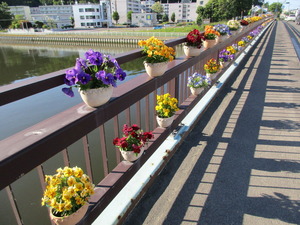新橋