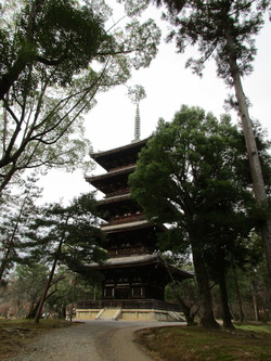 仁和寺