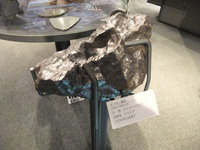 福井県立恐竜博物館
