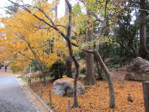 龍安寺