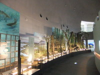 福井県立恐竜博物館