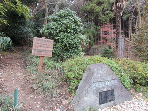 住吉山国有林