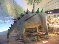 福井県立恐竜博物館