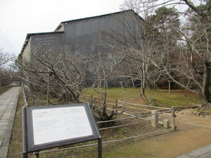 仁和寺