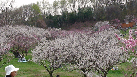ume2010_04
