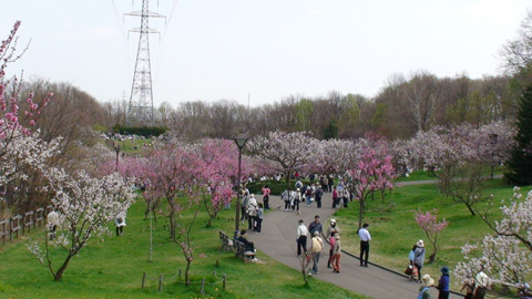 ume2010_03