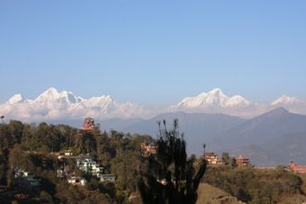 IMG_6105