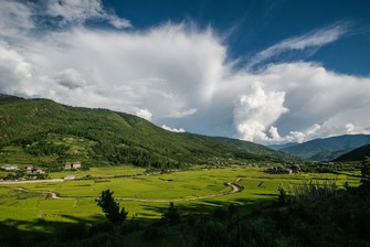 DSC_5342
