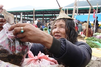 IMG_2522