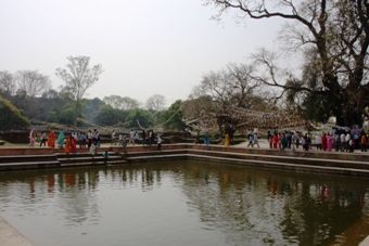 IMG_0745