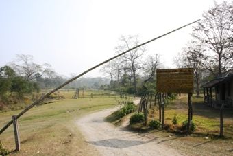 IMG_6690