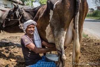 india16-82547