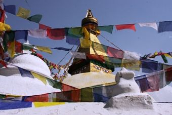 IMG_0913