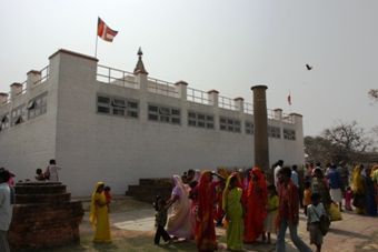IMG_0743