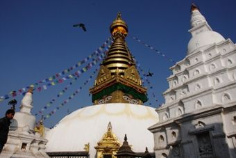 IMG_6962